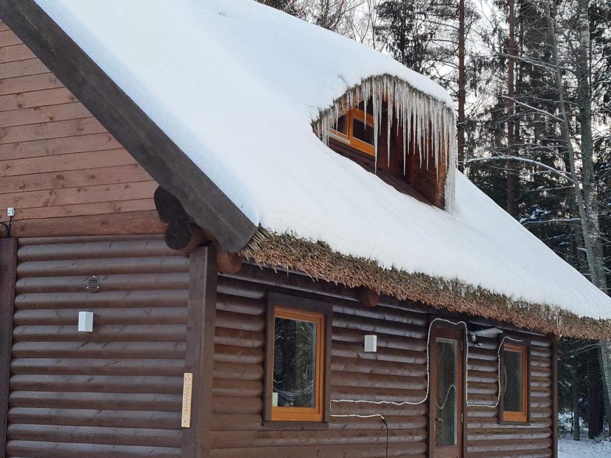 Pirts Maja Ramatas Villa Skulte  Eksteriør bilde